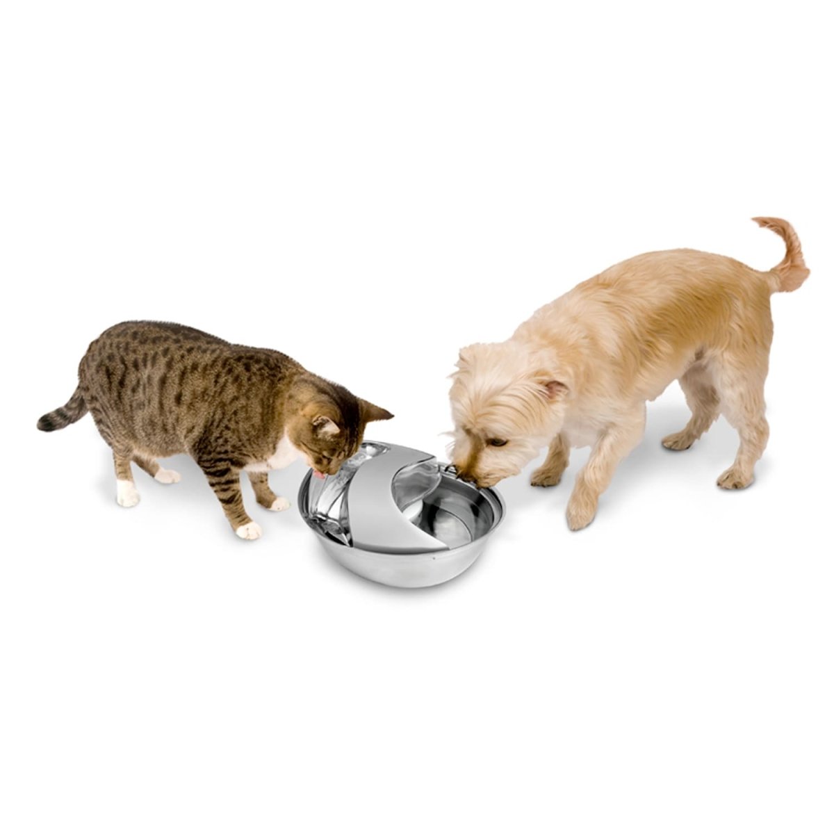 Raindrop Durable Pet Fountain 60oz (Stainless Steel) - Shopivet.com