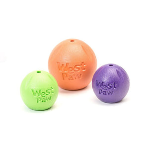 Rando Dog Toy - green - Shopivet.com
