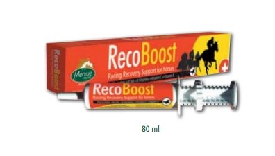 RecoBoost to replace critical nutrients lost 80ml - Shopivet.com