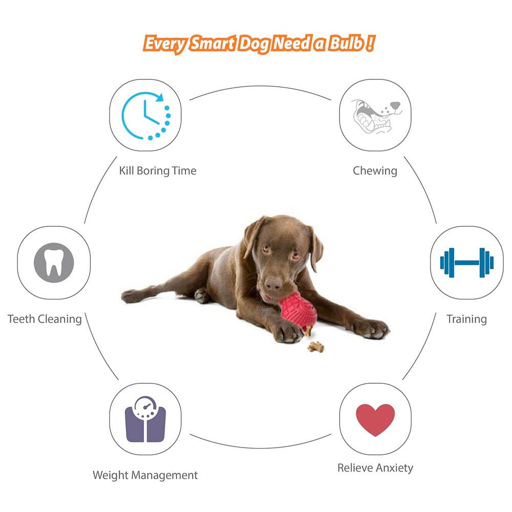 Red Bulb Dispensing Treat Dog Toy – Medium - Shopivet.com