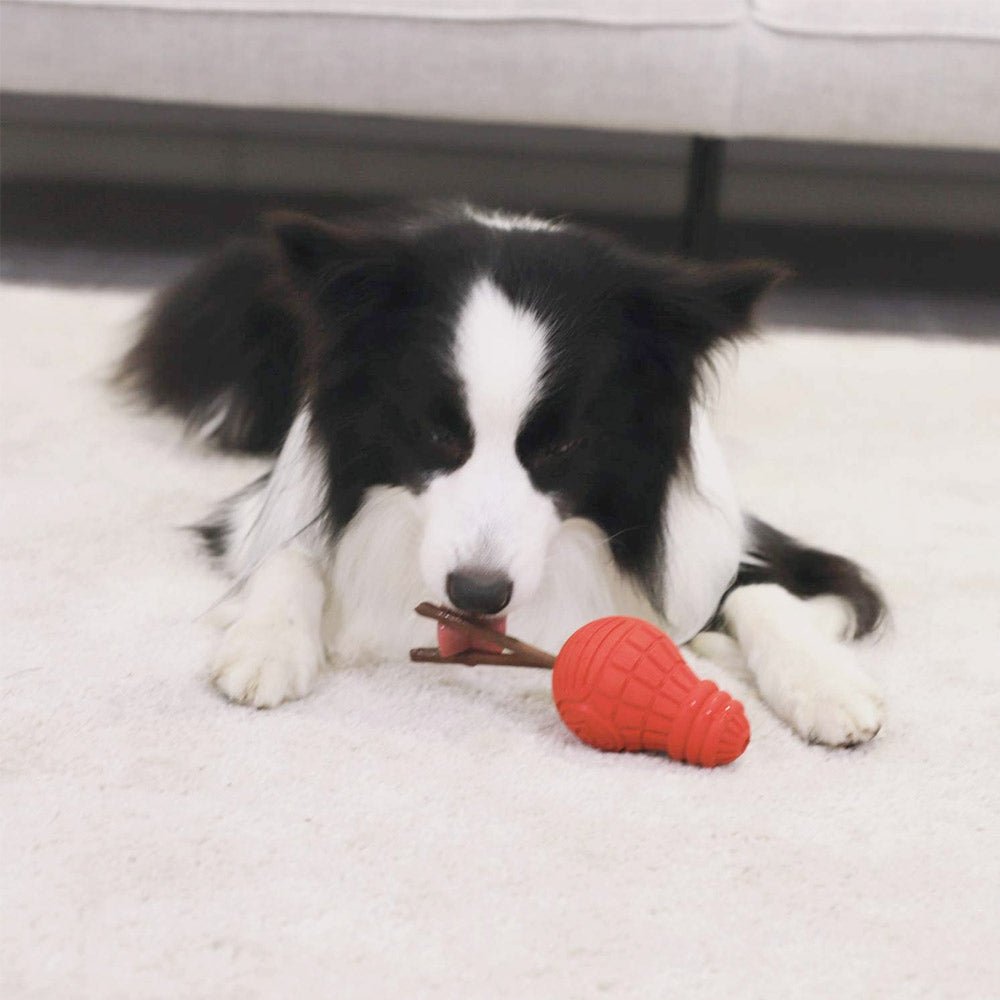 Red Bulb Dispensing Treat Dog Toy – Medium - Shopivet.com