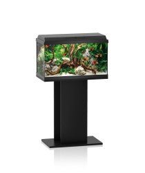 REKORD 600 Stand SB - Black 60/50 - Shopivet.com