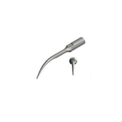 Replacement Scaling Tips Bs1 Pointed Tip - Shopivet.com