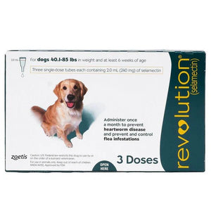 Revolution for Large dog 3 doses 18.1 - 38.6 kg - Shopivet.com
