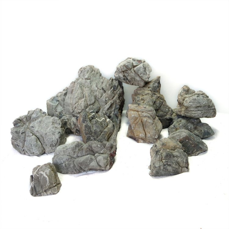 Rhino stone (Lichen-based Rock) - Large, 20KG - Shopivet.com