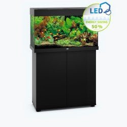 RIO 125 LED - Shopivet.com