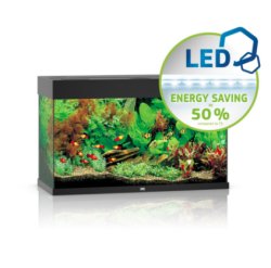 RIO 125 LED - Shopivet.com