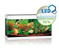 RIO 180 LED - Shopivet.com