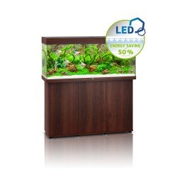 Rio 240 LED - Shopivet.com