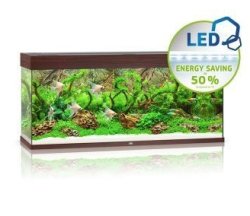 Rio 240 LED - Shopivet.com