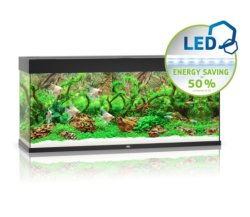 Rio 240 LED - Shopivet.com