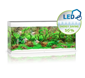 Rio 240 LED - White