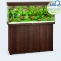 Rio 240 SBX Cabinet - Shopivet.com