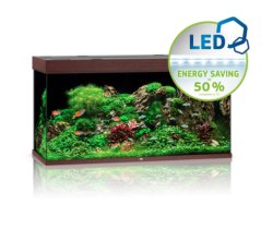 RIO 350 LED - Shopivet.com