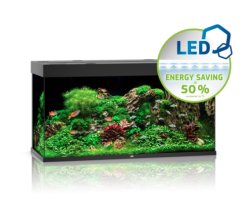 RIO 350 LED - Shopivet.com