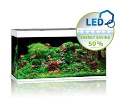 RIO 350 LED - Shopivet.com