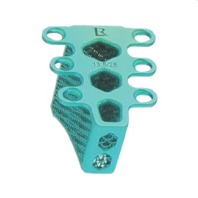 Rl Tta Rapid Cage 13.5/28 Tt - Shopivet.com