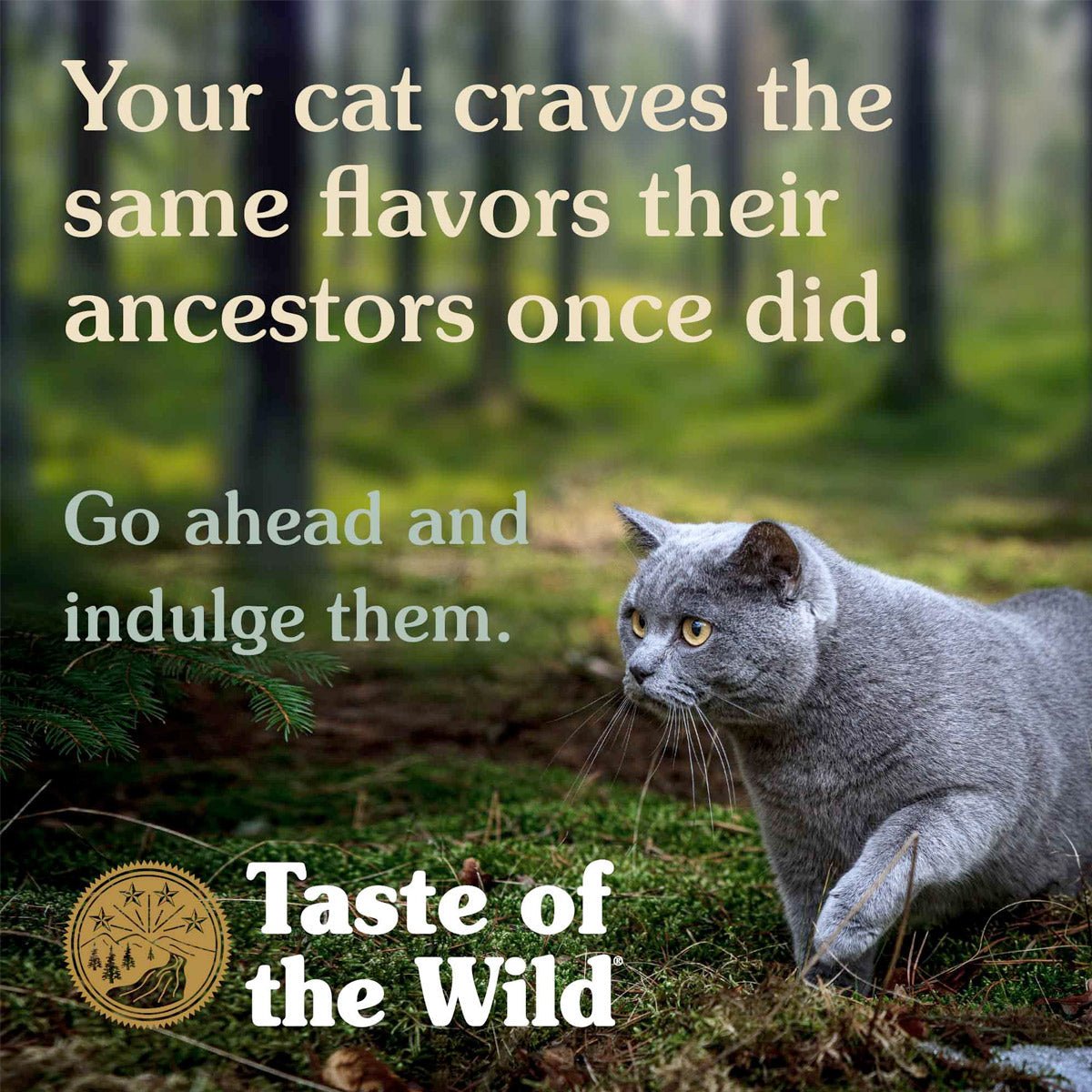Rocky Mountain Feline Recipe 85gr - Shopivet.com