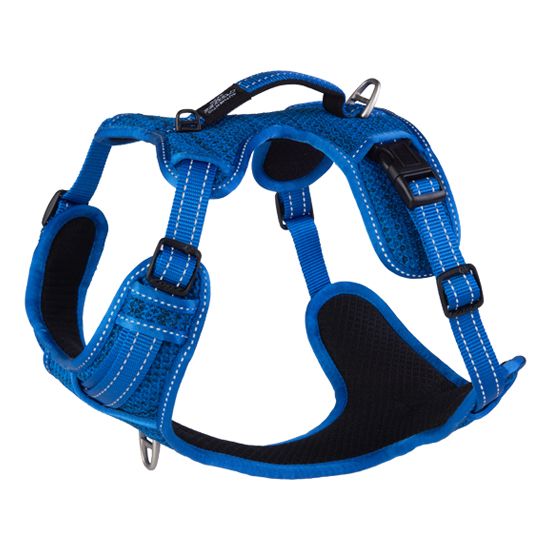 Rogz Explore Dog Harness - BLUE Small - Shopivet.com