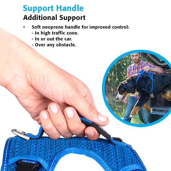 Rogz Explore Dog Harness - BLUE Small - Shopivet.com