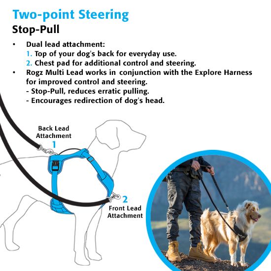 Rogz Explore Dog Harness - BLUE Small - Shopivet.com