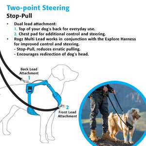 Rogz Explore Dog Harness - DAYGLO FLORAL Small - Shopivet.com