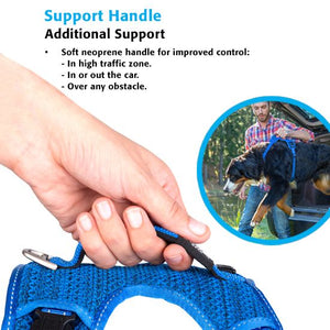 Rogz Explore Dog Harness - DAYGLO FLORAL Small - Shopivet.com