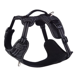 Rogz Explore Dog Harness - DAYGLO FLORAL Small - Shopivet.com
