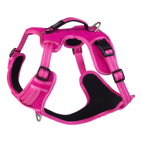 Rogz Explore Dog Harness - PINK Small - Shopivet.com