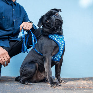 Rogz Fashion Dog Harness - WILD HEART MEDIUM - Shopivet.com