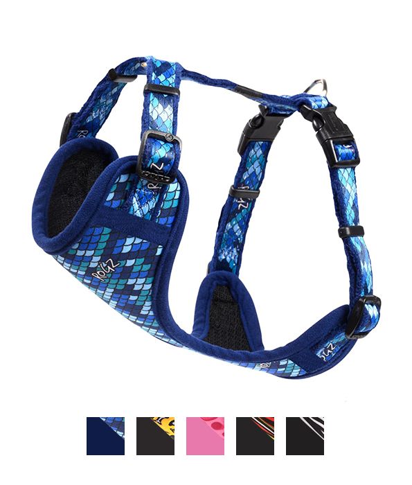 Rogz Fashion Dog Harness - WILD HEART MEDIUM - Shopivet.com