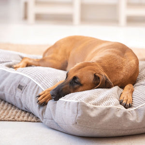 Rogz Indoor Flat Dog Bed - OLIVE XXLARGE - Shopivet.com