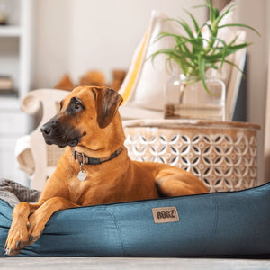 Rogz Indoor Cushion Dog Bed - NATURAL Medium