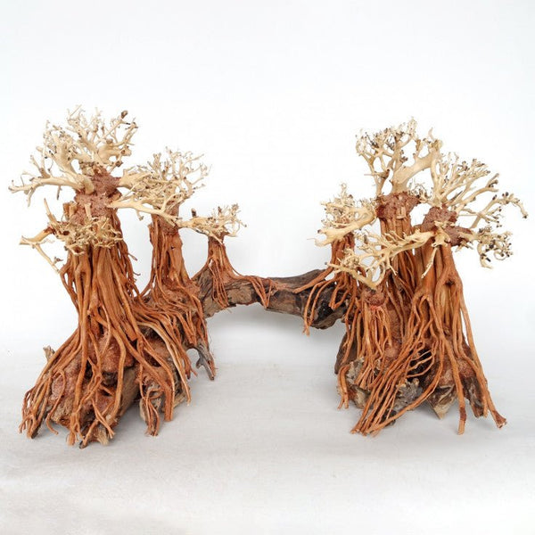 ROMANTIC BRIDGE BONSAI WOOD - MEDIUM / 50X40X30CM - Shopivet.com