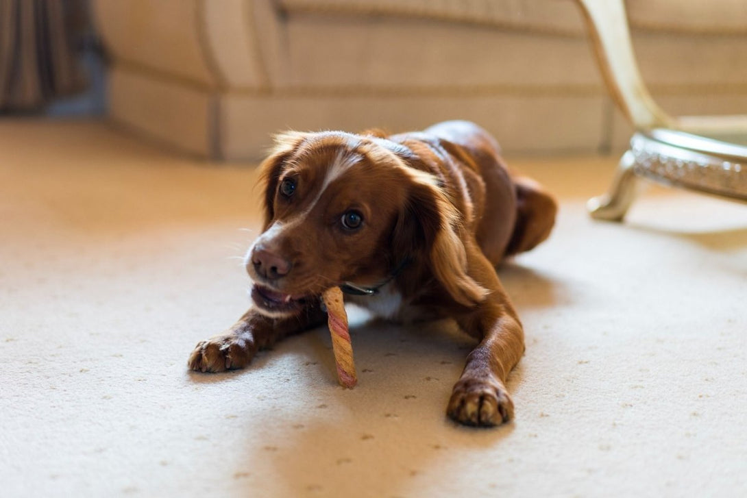 Rosewood Chewy Twist Chicken Dog Treats 115g - 115G - Shopivet.com