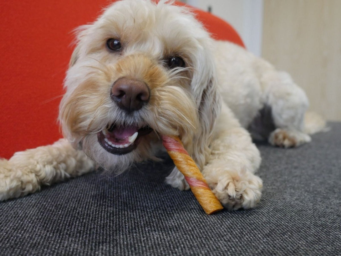 Rosewood Chewy Twist Chicken Dog Treats 115g - 115G - Shopivet.com