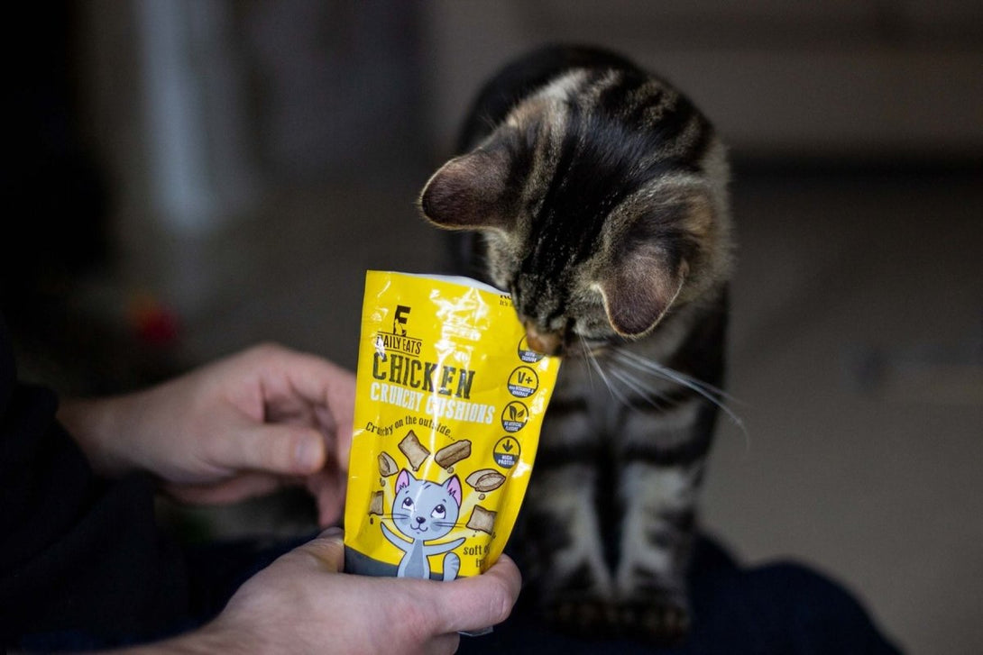 Rosewood Daily Eats Crunchy Cushions Chicken Cat Treats 60g - 60G - Shopivet.com