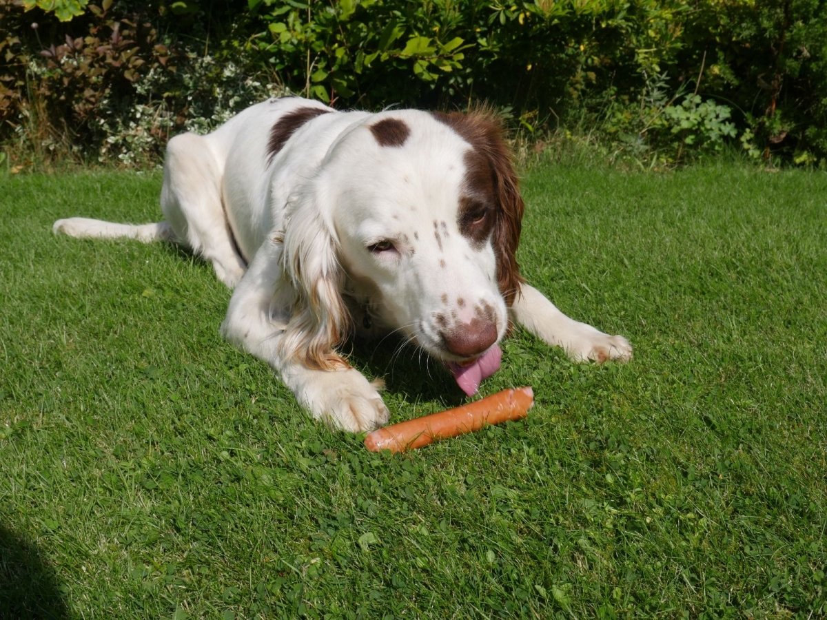 Rosewood Daily Eats Hot Dog Sausages Dog Treats 220g - 220G - Shopivet.com