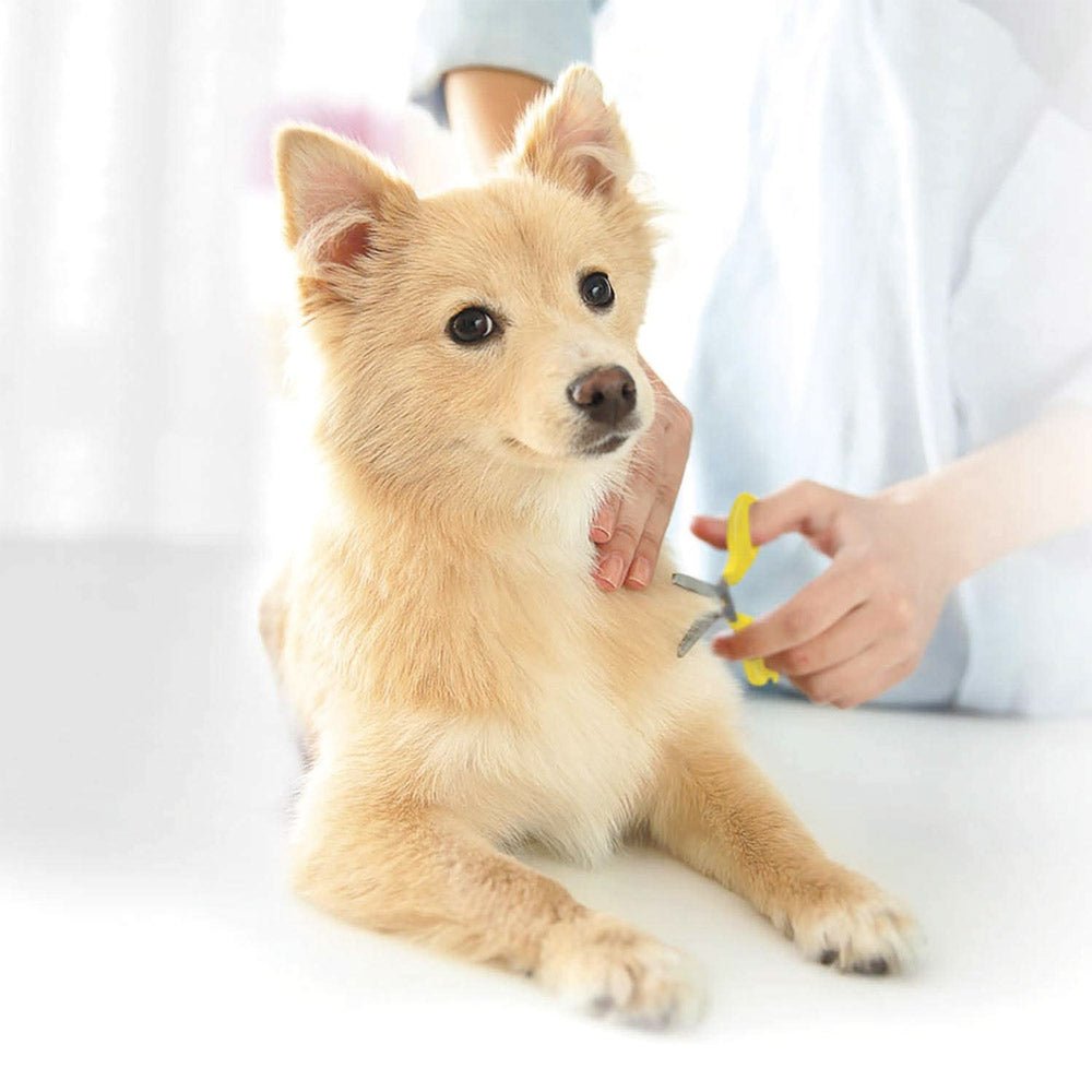 Rounded - Tip Shears 5″ - Shopivet.com