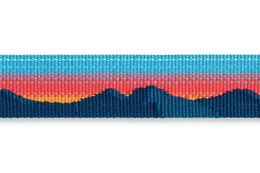 Ruffwear Crag Reflective Dog Collar - Alpine Dawn Large - Shopivet.com