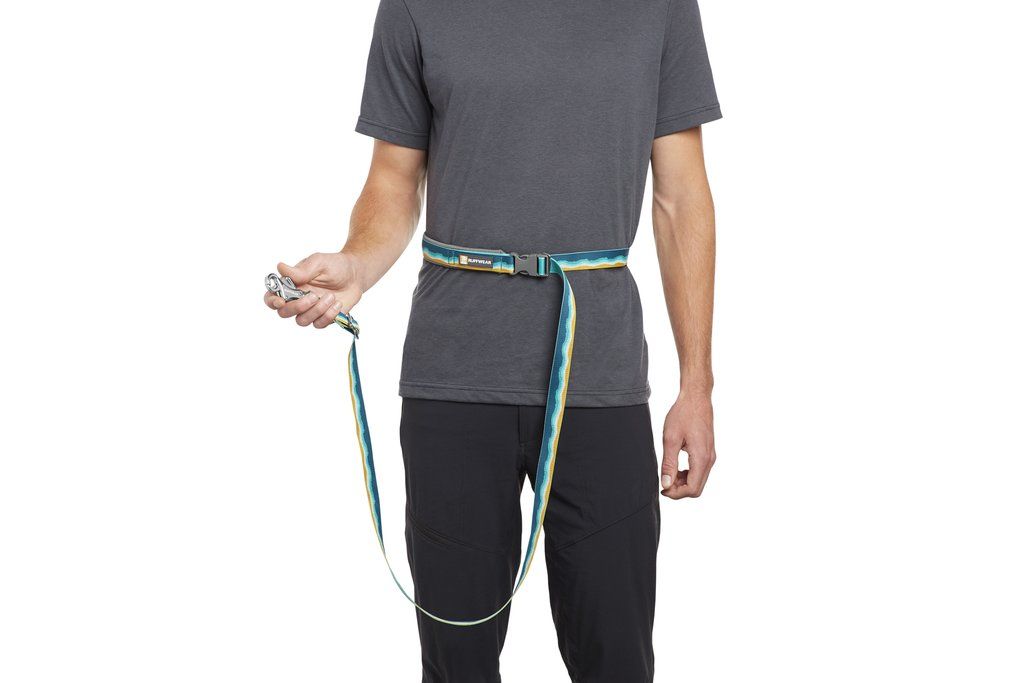 Ruffwear Crag Reflective Dog Leash - Alpine Dawn - Shopivet.com