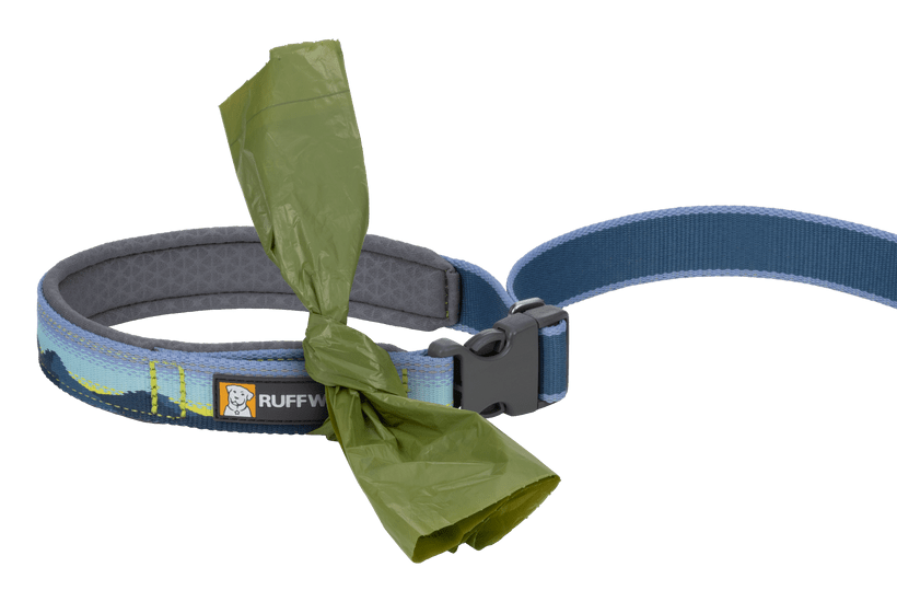 Ruffwear Crag Reflective Dog Leash - Alpine Dawn - Shopivet.com
