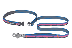 Ruffwear Crag Reflective Dog Leash - Alpine Dusk - Shopivet.com