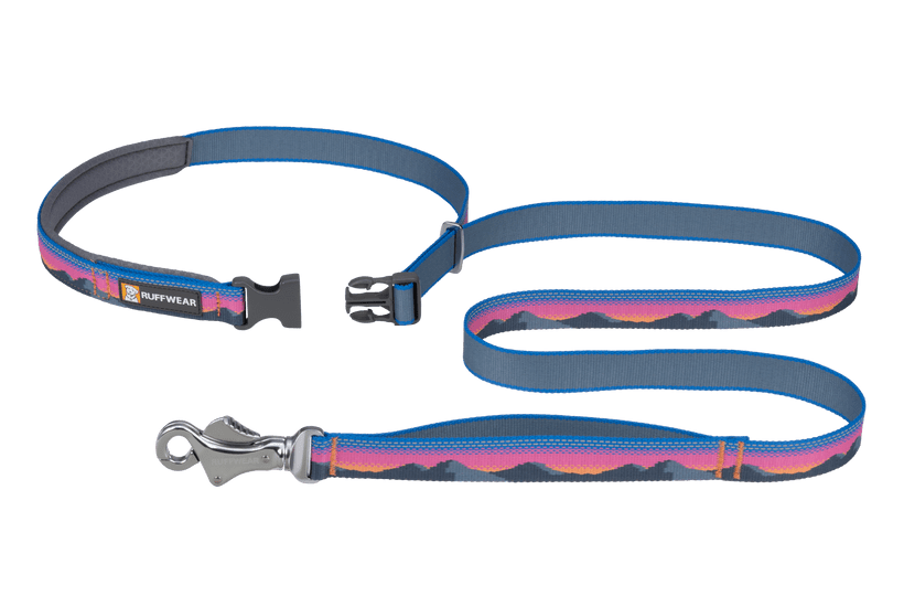 Ruffwear Crag Reflective Dog Leash - Alpine Dusk - Shopivet.com
