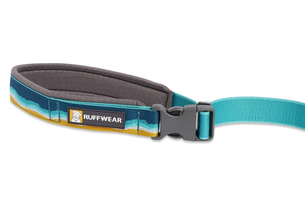 Ruffwear Crag Reflective Dog Leash - Rising Wave - Shopivet.com