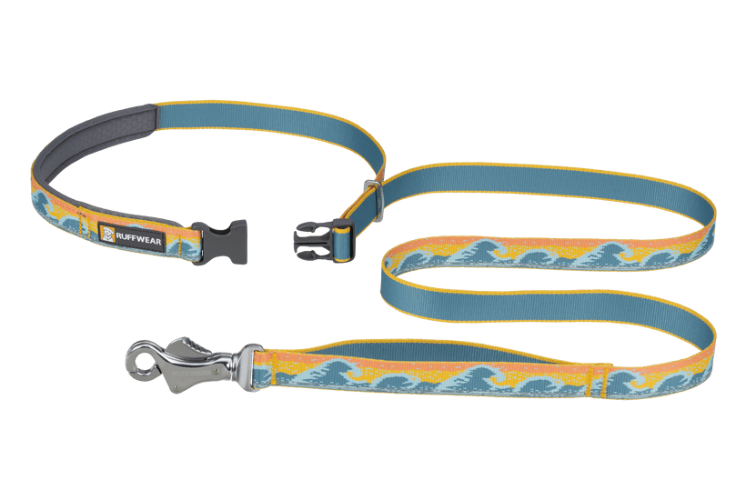 Ruffwear Crag Reflective Dog Leash - Rising Wave - Shopivet.com