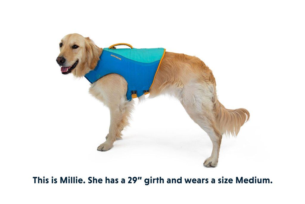 Ruffwear Float Coat Dog Life Jacket - BLUE Medium - Shopivet.com
