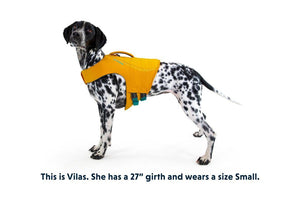 Ruffwear Float Coat Dog Life Jacket - ORANGE X - Large - Shopivet.com