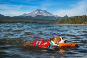 Ruffwear Float Coat Dog Life Jacket - ORANGE XLARGE - Shopivet.com