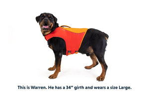 Ruffwear Float Coat Dog Life Jacket - RED X - Large - Shopivet.com
